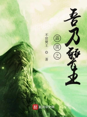 霹雳之吾乃燹王 cover 封面