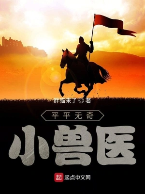 平平无奇小兽医 cover 封面