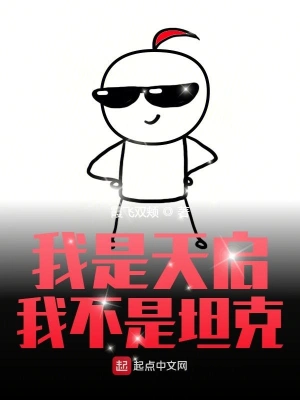 我是天启我不是坦克 cover 封面