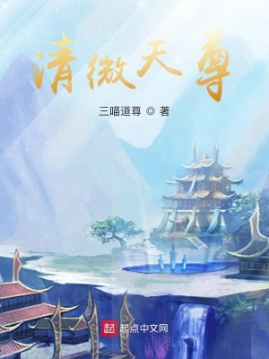 清微天尊 cover 封面