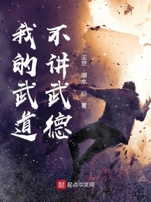 我的武道不讲武德 cover 封面