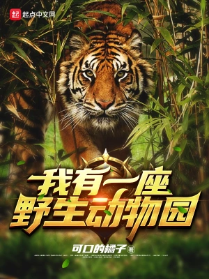 我有一座野生动物园 cover 封面