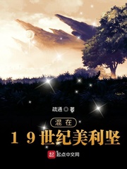 混在19世纪美利坚 cover 封面