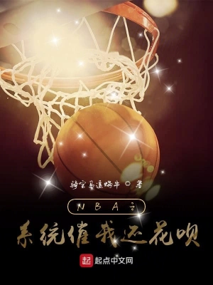 NBA之系统催我还花呗 cover 封面