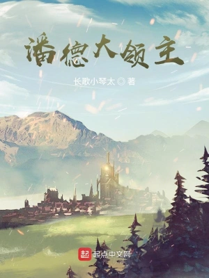 潘德大领主 cover 封面