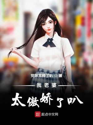 我老婆太傲娇了叭 cover 封面