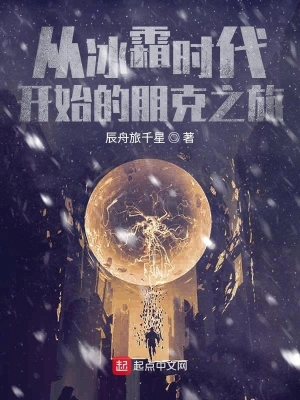从冰霜时代开始的朋克之旅 cover 封面