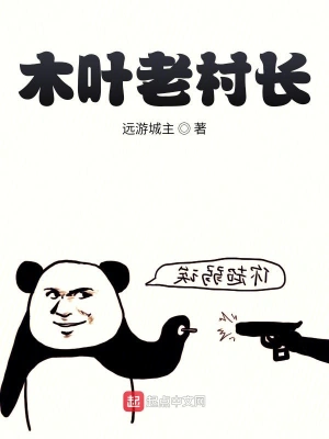 木叶老村长 cover 封面