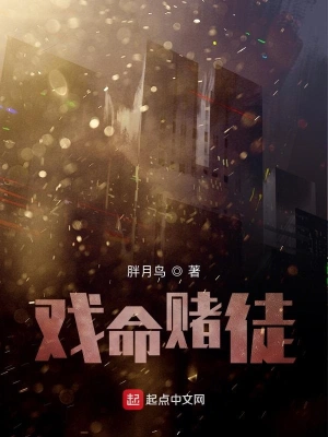 戏命赌徒 cover 封面