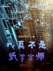 我真不是武学宗师 cover 封面