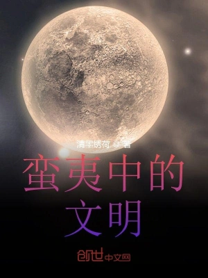 蛮夷中的文明 cover 封面
