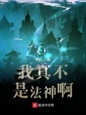 我真不是法神啊 cover 封面