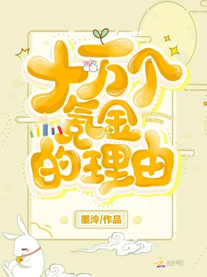 十万个氪金的理由 cover 封面