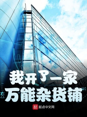 我开了一家万能杂货铺 cover 封面