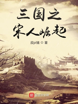 三国之宋人崛起 cover 封面