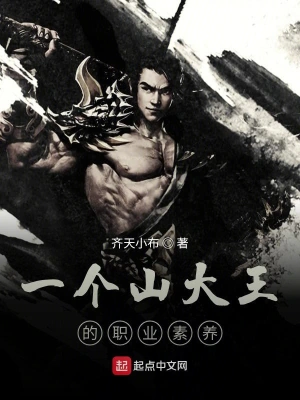 一个山大王的职业素养 cover 封面