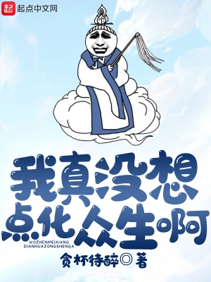 我真没想点化众生啊 cover 封面