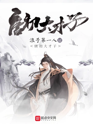 唐初大才子 cover 封面