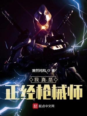 我真是正经枪械师 cover 封面