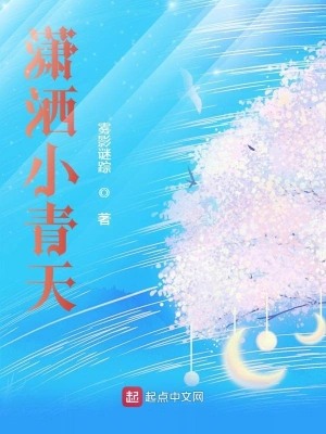 潇洒小青天 cover 封面