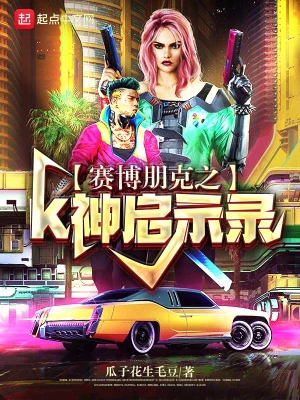 赛博朋克之K神启示录 cover 封面