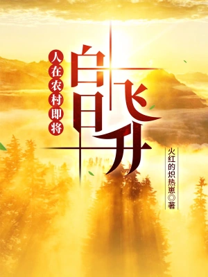 人在农村即将白日飞升 cover 封面