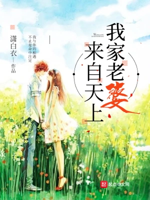 我家老婆来自天上 cover 封面