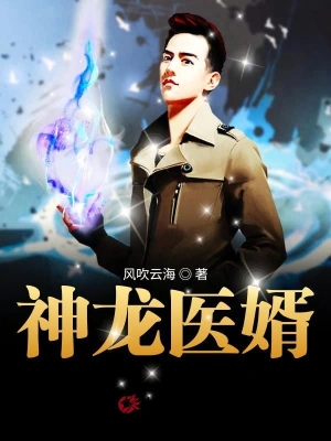 神龙医婿 cover 封面