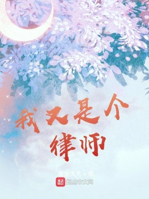 我又是个律师 cover 封面