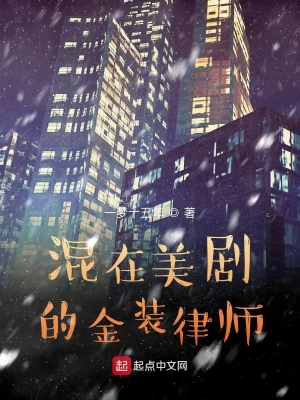 混在美剧的金装律师 cover 封面