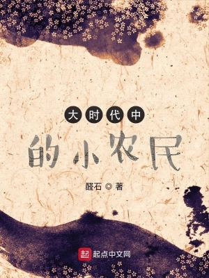 大时代中的小农民 cover 封面
