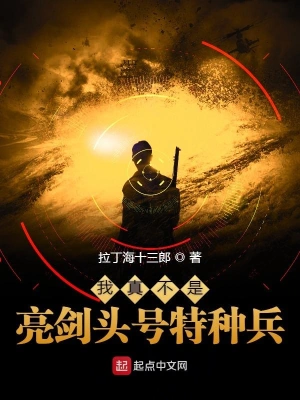 我真不是亮剑头号特种兵 cover 封面