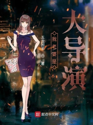 我老婆是大导演 cover 封面