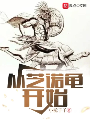 从芝诺龟开始 cover 封面