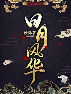 日月风华 cover 封面