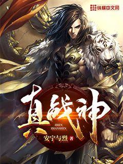 真战神 cover 封面