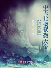 我真是中天北极紫微大帝 cover 封面