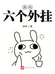 我有六个外挂 cover 封面