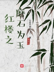 红楼之磨石为玉 cover 封面