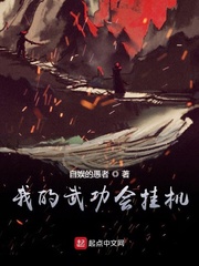 我的武功会挂机 cover 封面