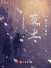 废土从辐射4开始 cover 封面