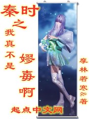 秦时之我真不是嫪毐啊 cover 封面