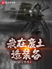 我在废土造装备 cover 封面