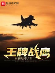 王牌战鹰 cover 封面