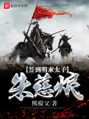签到明末太子朱慈烺 cover 封面
