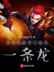 海贼的世界只能有一条龙！ cover 封面