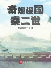 奇观误国秦二世 cover 封面