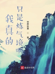 我真的只是炼气境啊 cover 封面