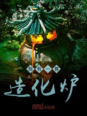 我有一尊造化炉 cover 封面
