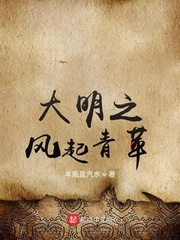 大明之风起青苹 cover 封面